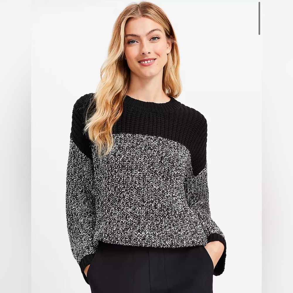 Lou & Grey (LOFT) Marled Colorblock Sweater - NWT!